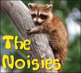 The Noisies - eclectic power-pop-punk.